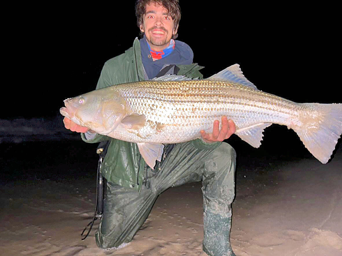 More Big Striped Bass Reported – Grumpys Tackle