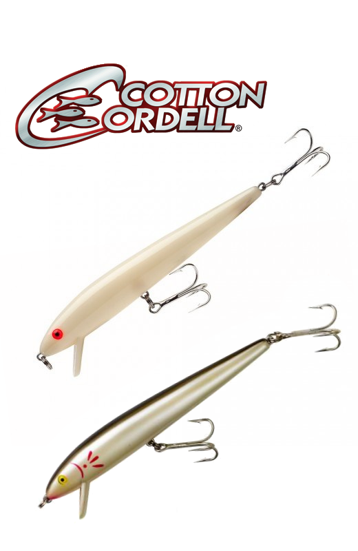 Cotton Cordell Pencil Popper Topwater Fishing Lure, Bone, 7 inch