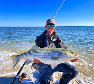 The Striped Bass Run Continues