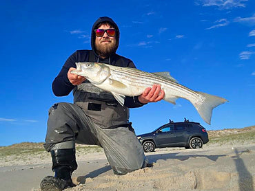 Beach Bite Is On