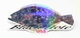 Black Hole Holographic Sticker