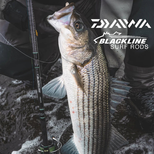DAIWA Introduces New Blackline Surf and Trolling Rod Series - Fishing  Tackle Retailer - The Business Magazine of the Sportfishing Industry