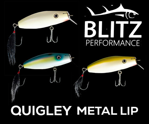 Blitz Performance Quigly Metal Lip