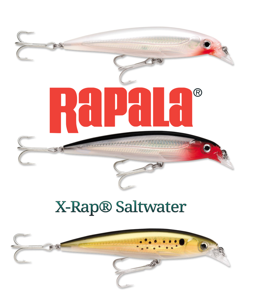 Rapala SXR10PRCH X-Rap Saltwater 4 inch Purple Chartreuse